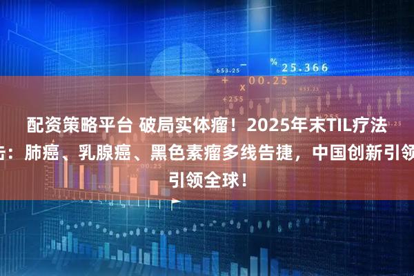 配资策略平台 破局实体瘤！2025年末TIL疗法三连击：肺癌、乳腺癌、黑色素瘤多线告捷，中国创新引领全球！