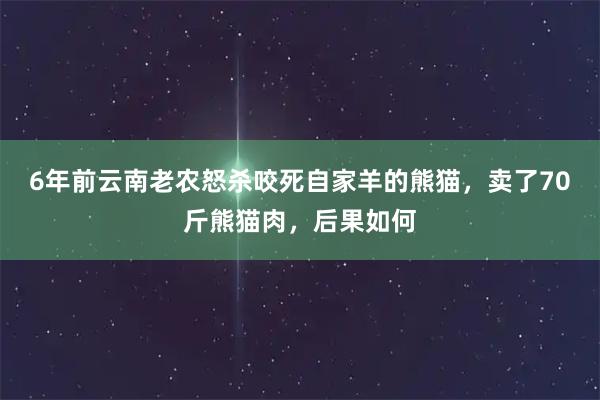 6年前云南老农怒杀咬死自家羊的熊猫，卖了70斤熊猫肉，后果如何