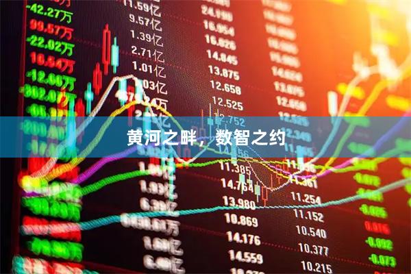 黄河之畔，数智之约